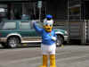 DSCN0602.jpg (726631 bytes)