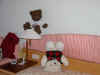 DSCN0656.jpg (92833 bytes)