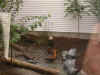 DSCN0410.jpg (710727 bytes)