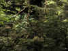 DSCN0418.jpg (1035587 bytes)
