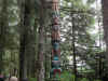 DSCN0424.jpg (945654 bytes)