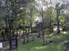 DSCN1562.jpg (235970 bytes)