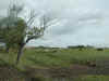 DSCN1621.jpg (124745 bytes)