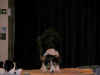 DSCN1624.jpg (87566 bytes)