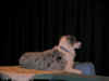 DSCN1627.jpg (90702 bytes)