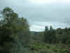 DSCN1630.jpg (106275 bytes)