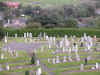 DSCN1668.jpg (180795 bytes)