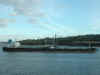 DSCN1704.jpg (96657 bytes)