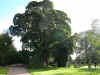 DSCN1720.jpg (180913 bytes)