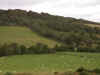 DSCN1725.jpg (104767 bytes)