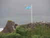 DSCN1733.jpg (118407 bytes)