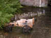 DSCN1750.jpg (190447 bytes)