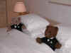 DSCN1550.jpg (77644 bytes)