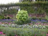 DSCN1222.jpg (247316 bytes)