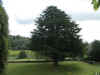 DSCN1247.jpg (116047 bytes)