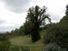 DSCN1253.jpg (138223 bytes)