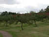 DSCN1257.jpg (116471 bytes)