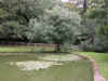 DSCN1270.jpg (185331 bytes)