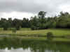 DSCN1272.jpg (102392 bytes)