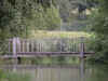 DSCN1274.jpg (176297 bytes)