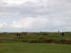 DSCN1401.jpg (85844 bytes)