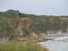DSCN1407.jpg (124650 bytes)