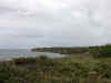 DSCN1411.jpg (107562 bytes)