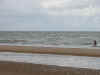 DSCN1443.jpg (89599 bytes)