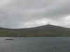 DSCN1768.jpg (64316 bytes)