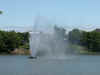 DSCN2499.jpg (90622 bytes)