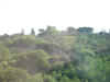 DSCN03391688.jpg (161750 bytes)