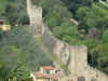 DSCN03461695.jpg (283024 bytes)