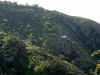 DSCN04251769.jpg (288405 bytes)