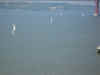 DSCN08771250.jpg (131131 bytes)