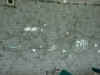 DSCN08891262.jpg (239697 bytes)