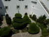 DSCN09541320.jpg (253153 bytes)
