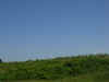 DSCN09701334.jpg (136238 bytes)
