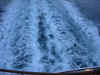 DSCN09901354.jpg (220077 bytes)