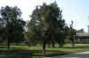 DSCN0189.jpg (99788 bytes)