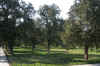 DSCN0190.jpg (118524 bytes)