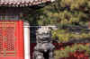 DSCN0199.jpg (129821 bytes)