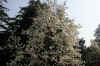 DSCN0226.jpg (121311 bytes)