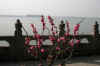 DSCN0230.jpg (73398 bytes)