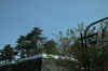 dscn0033.jpg (273200 bytes)