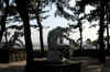 dscn0040.jpg (279670 bytes)