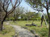 dscn0045.jpg (641400 bytes)