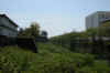 dscn0056.jpg (265270 bytes)