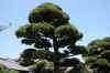 dscn0060.jpg (282318 bytes)