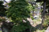 dscn0061.jpg (350680 bytes)