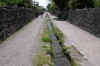 dscn0063.jpg (295877 bytes)